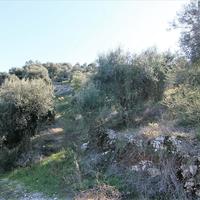 Земельный участок в Греции, Ионические острова