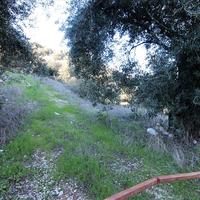 Земельный участок в Греции, Ионические острова