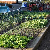 Другое в Греции, Центральная Македония, Центр, 224 кв.м.