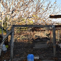 Другое в Греции, Центральная Македония, Центр, 224 кв.м.