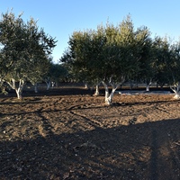 Другое в Греции, Центральная Македония, Центр, 224 кв.м.