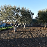 Другое в Греции, Центральная Македония, Центр, 224 кв.м.