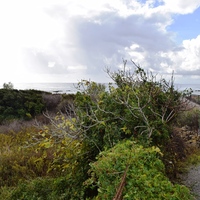 Земельный участок в Греции, Крит