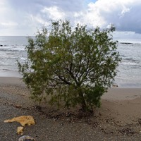 Земельный участок в Греции, Крит