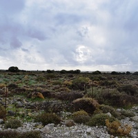 Земельный участок в Греции, Крит