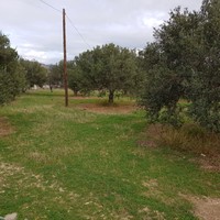 Земельный участок в Греции, Крит