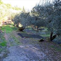 Земельный участок в Греции, Ионические острова