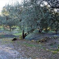 Земельный участок в Греции, Ионические острова