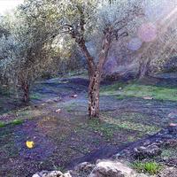 Земельный участок в Греции, Ионические острова