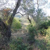 Land plot in Greece, Ionian Islands