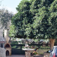 Земельный участок в Греции, Крит