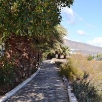 Land plot in Greece, Crete