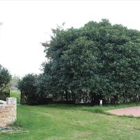 Hotel in Greece, Crete, Chania, 455 sq.m.