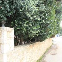 Hotel in Greece, Crete, Chania, 455 sq.m.