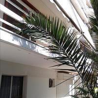 Other in Greece, Attica, Athens, 115 sq.m.