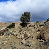 Земельный участок в Греции, Крит