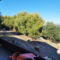 Land plot in Greece, Ionian Islands, 152 sq.m.