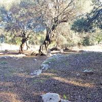Land plot in Greece, Ionian Islands, 152 sq.m.