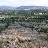 Land plot in Greece, Crete, Irakleion