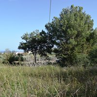 Land plot in Greece, Crete, Chania