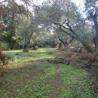 Land plot in Greece, Ionian Islands