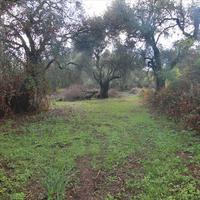 Land plot in Greece, Ionian Islands