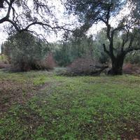 Land plot in Greece, Ionian Islands