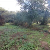 Land plot in Greece, Ionian Islands