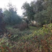 Land plot in Greece, Ionian Islands