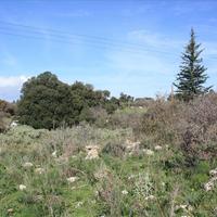 Land plot in Greece, Crete, Chania