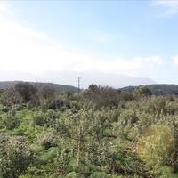 Land plot in Greece, Crete, Chania