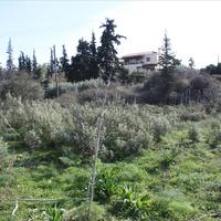 Land plot in Greece, Crete, Chania