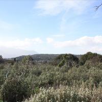 Land plot in Greece, Crete, Chania
