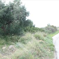 Land plot in Greece, Central Macedonia, Center