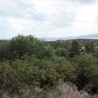 Land plot in Greece, Central Macedonia, Center