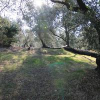 Земельный участок в Греции, Ионические острова