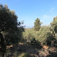 Земельный участок в Греции, Ионические острова