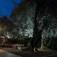 Villa in Greece, Crete, Chania, 300 sq.m.