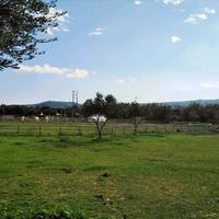 Land plot in Greece, Crete, Chania, 90 sq.m.