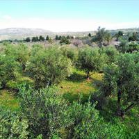 Land plot in Greece, Crete, Chania, 90 sq.m.