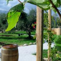 Land plot in Greece, Crete, Chania, 90 sq.m.