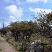 Land plot in Greece, Crete, Chania