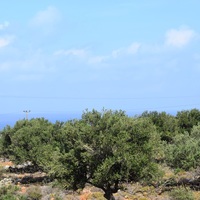 Land plot in Greece, Crete, Chania