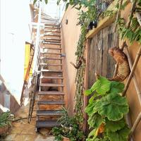 Villa in Greece, Crete, Chania, 163 sq.m.