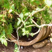 Вилла в Греции, Крит, Ханья, 246 кв.м.