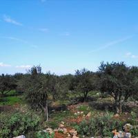 Land plot in Greece, Crete, Chania