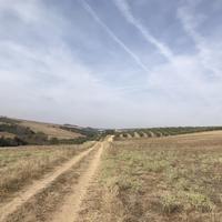 Land plot in Greece, Central Macedonia, Khal