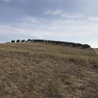 Land plot in Greece, Central Macedonia, Khal