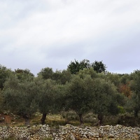 Land plot in Greece, Crete, Chania