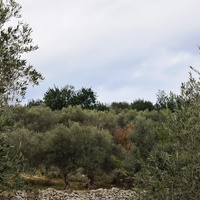 Land plot in Greece, Crete, Chania